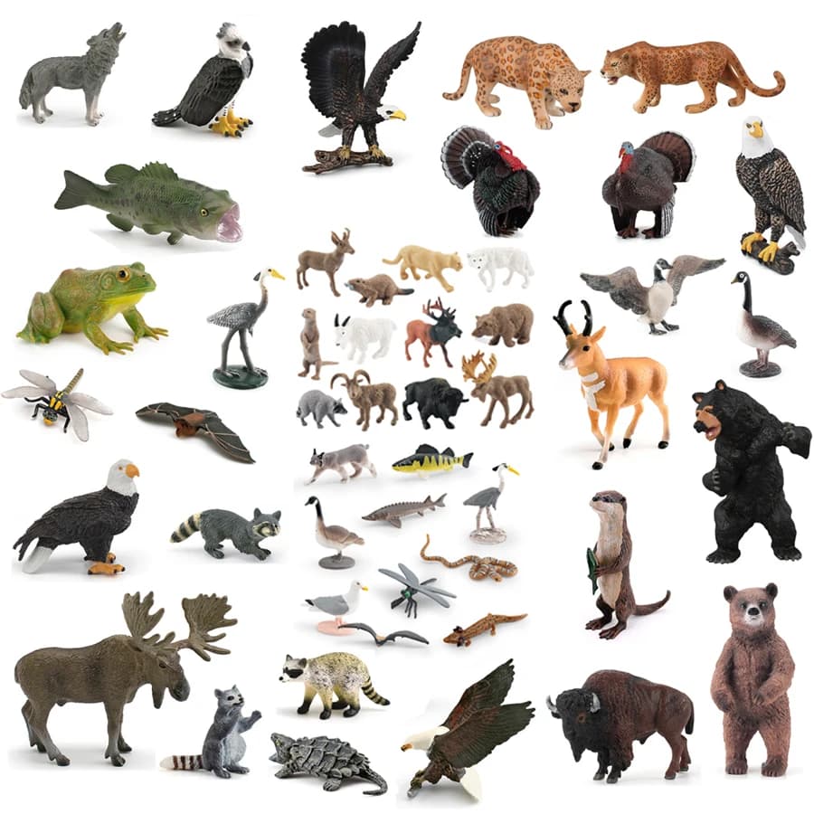 Figurine realistiche di animali nordamericani: tacchino, aquila calva, orso grizzly, bisonte, alce, procione - Giocattolo educativo per bambini