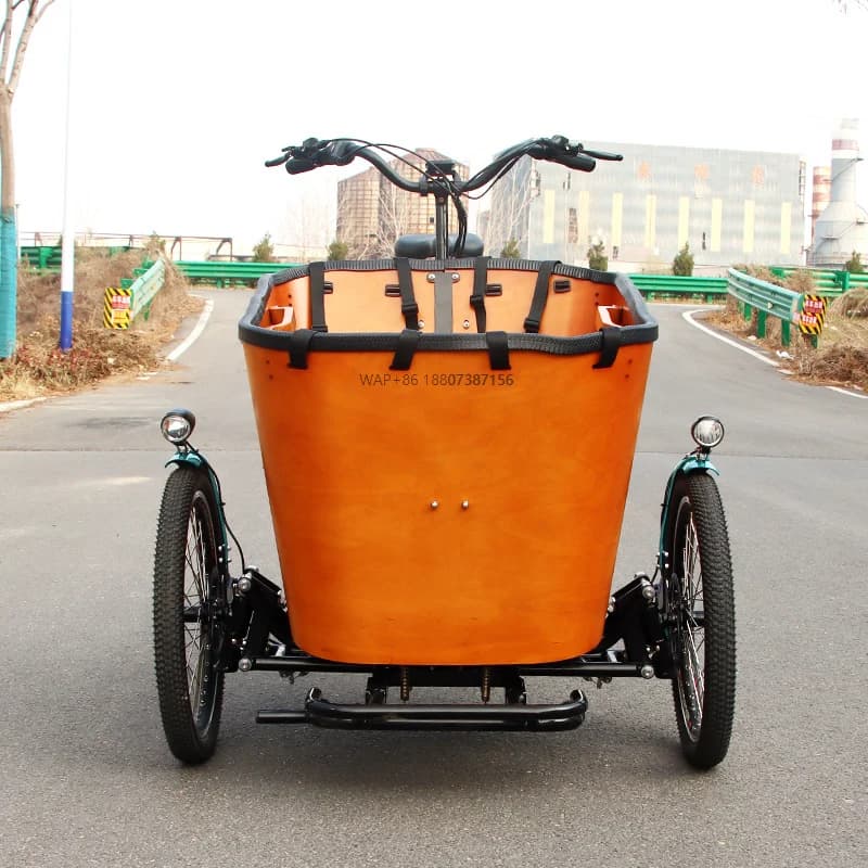 Bicicletta Cargo Urbana a Tre Ruote con Vano di Carico Anteriore, Triciclo per Trasporto Merci con Tecnologia di Bilanciamento