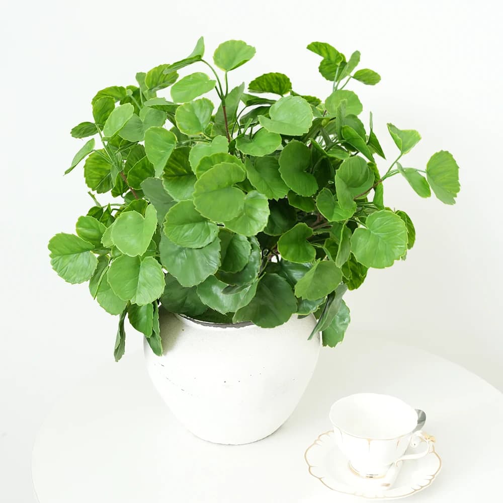 Artificial eucalyptus stems Fake eucalyptus leaves Money leaves Fake vegetation stems Home plants Wedding party Farm decoration