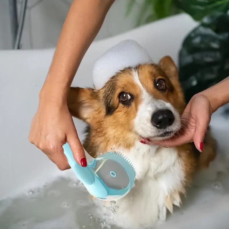 Spazzola da bagno per cani Shampoo Pettine Scrubber per doccia per cuccioli Spazzola da bagno e per toelettatura per animali domestici con manico per cani a pelo corto e lungo