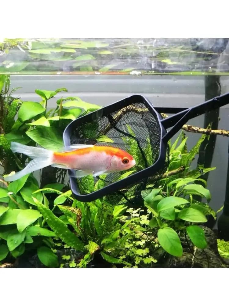 R6FE 2 pezzi acquari acquari guadino portatile strumento pulizia della rete da pesca quadrata