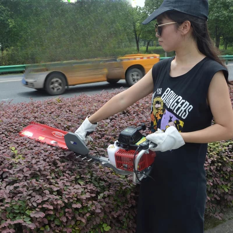 Gasoline hedge, pruning, hedges, branches of fruit trees, pruning shears