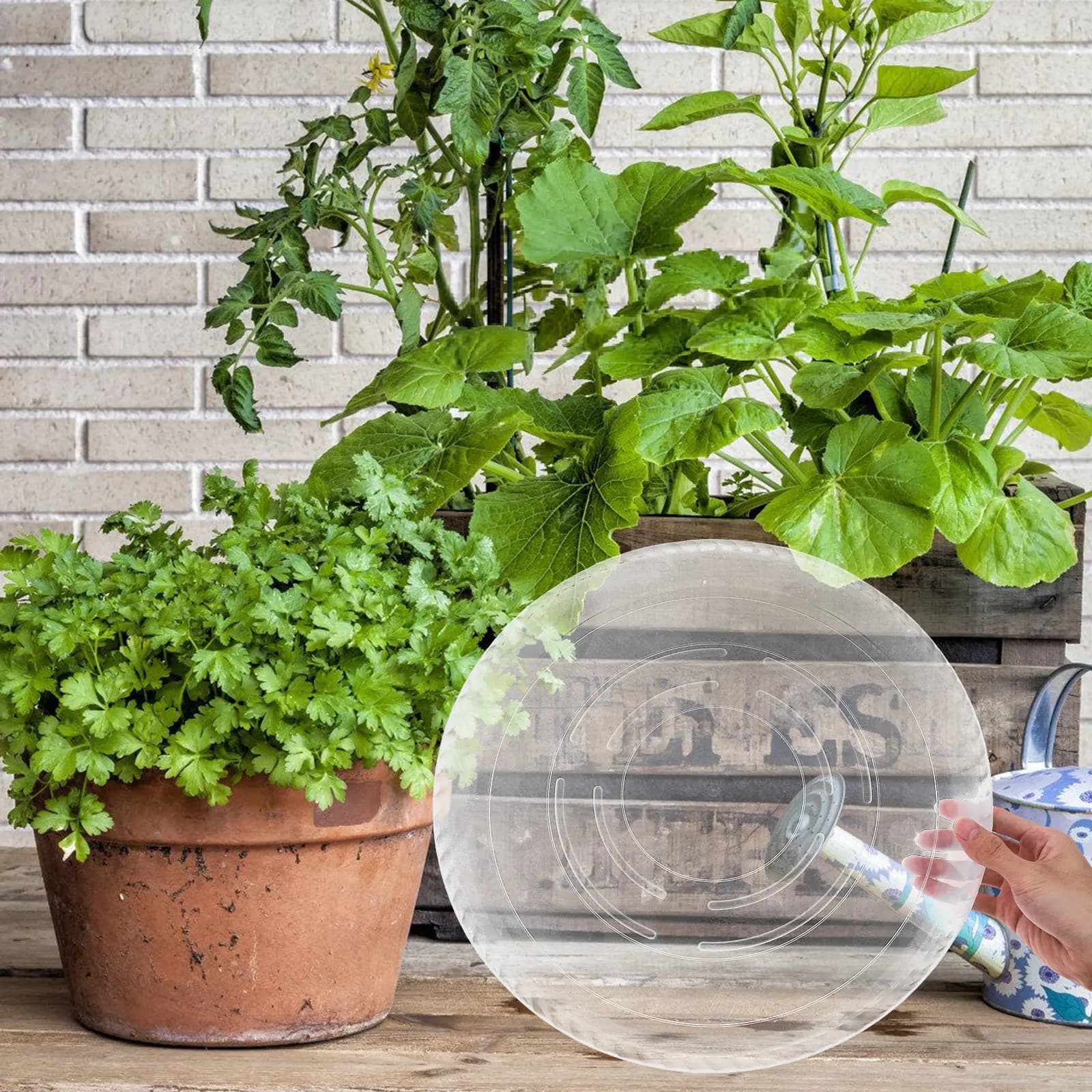 4Pcs 16-Inch Plastic Clear Planter Saucer Round Pot Tray for Potted Plants Drainage Catcher Indoor Outdoor Succulent Bonsai Tray