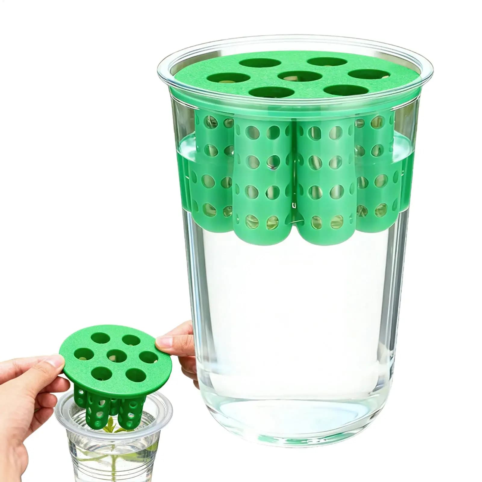 Green Onion Planter Clear Reusable Hydroponic Scallion Grower Green Onion Seedling Sprouting Kit for Windowsill Garden Home