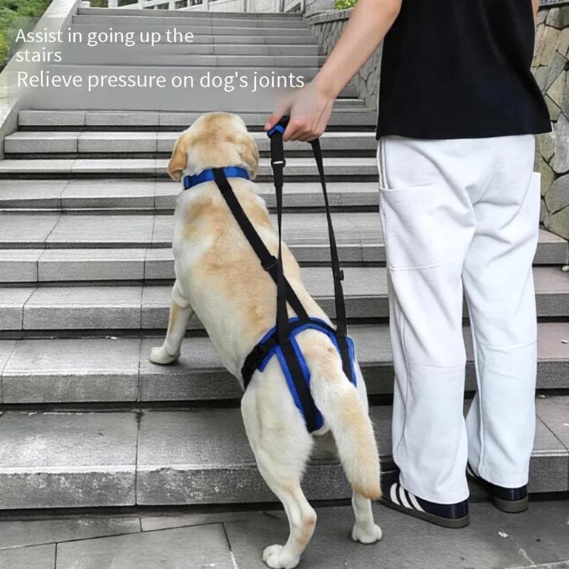 Dog Hind Leg Support Sling for Stairs, Adjustable Lift Harness for Senior Disabled Dogs, Mobility Aid for Up Down Stairs