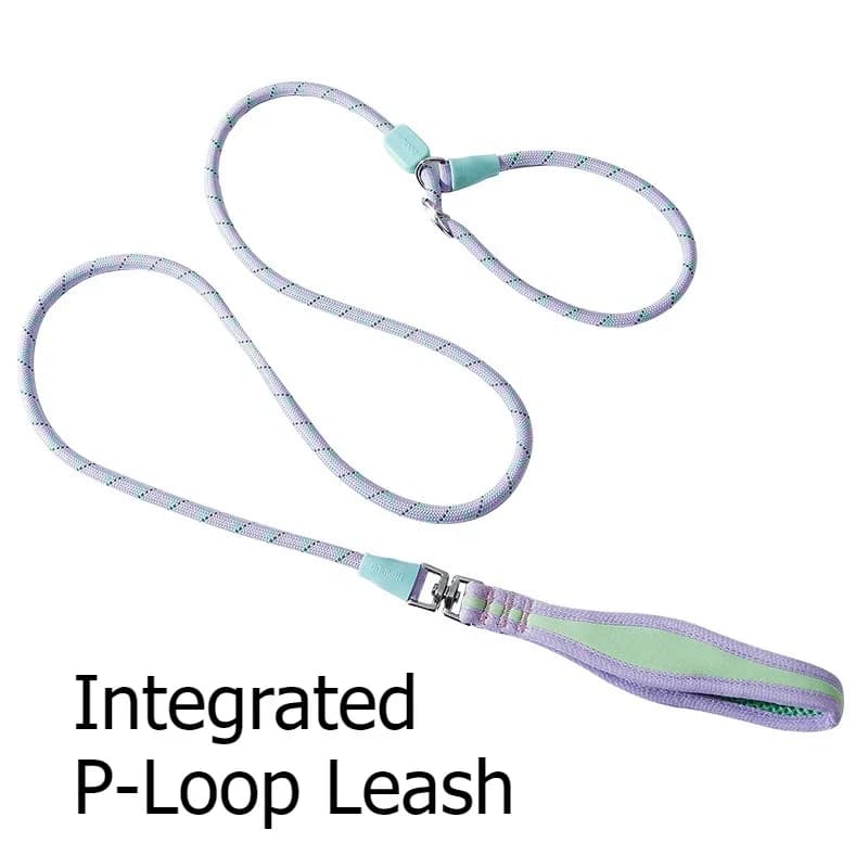 Pet Dog Walking Leash Fresh Color Block Comfortable P Style Anti-Pull For Small Dogs Teddy