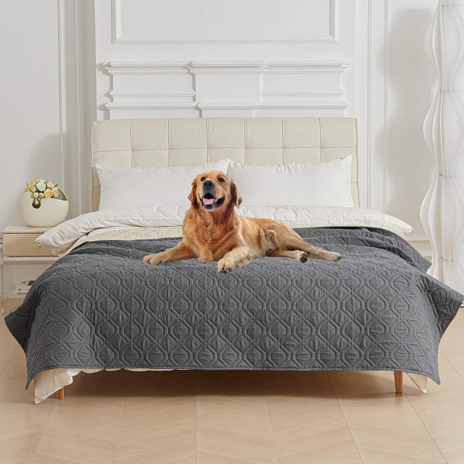 Coprimaterasso Impermeabile e Antimacchia per Animali Domestici, Tappetino per Divano, Cuccia per Cani, Pezzo Singolo per Uso Invernale e Accessori per la Casa degli Animali