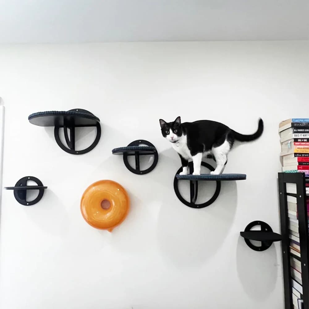 Piattaforma di salto per gatti rotonda montata a parete di diverse dimensioni, legno massello, bella casa, adatta per giocare e saltare gatti