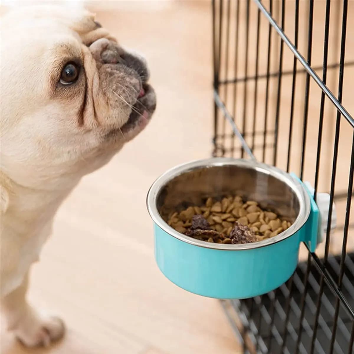 【ILLUMINE】 Ciotola per cani da 4 pezzi, cuccia per animali rimovibile in acciaio inossidabile appesa per alimenti, ciotola per mangiatoia d'acqua, gabbia, tazza per gallinero con cucchiaio