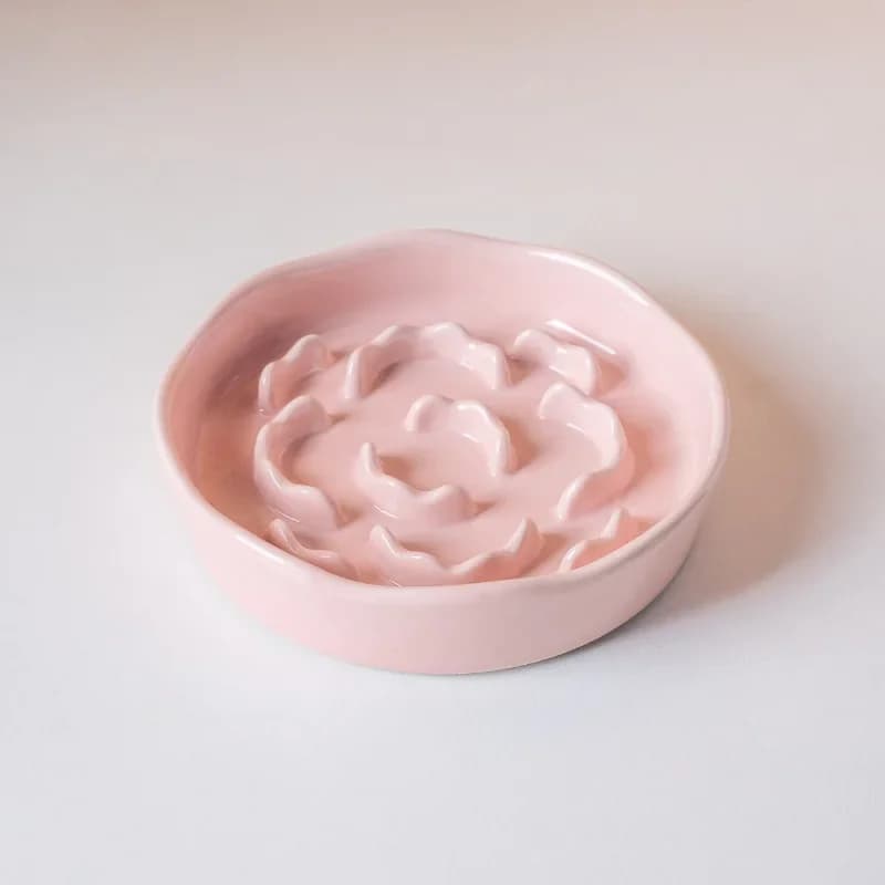 Ciotola per cibo lento in ceramica Ciotola per gatti con piedi alti Ciotola di protezione per il collo Non facile da imbattere Ciotola antisoffocamento per cani Ciotola per cibo lento Nuovo
