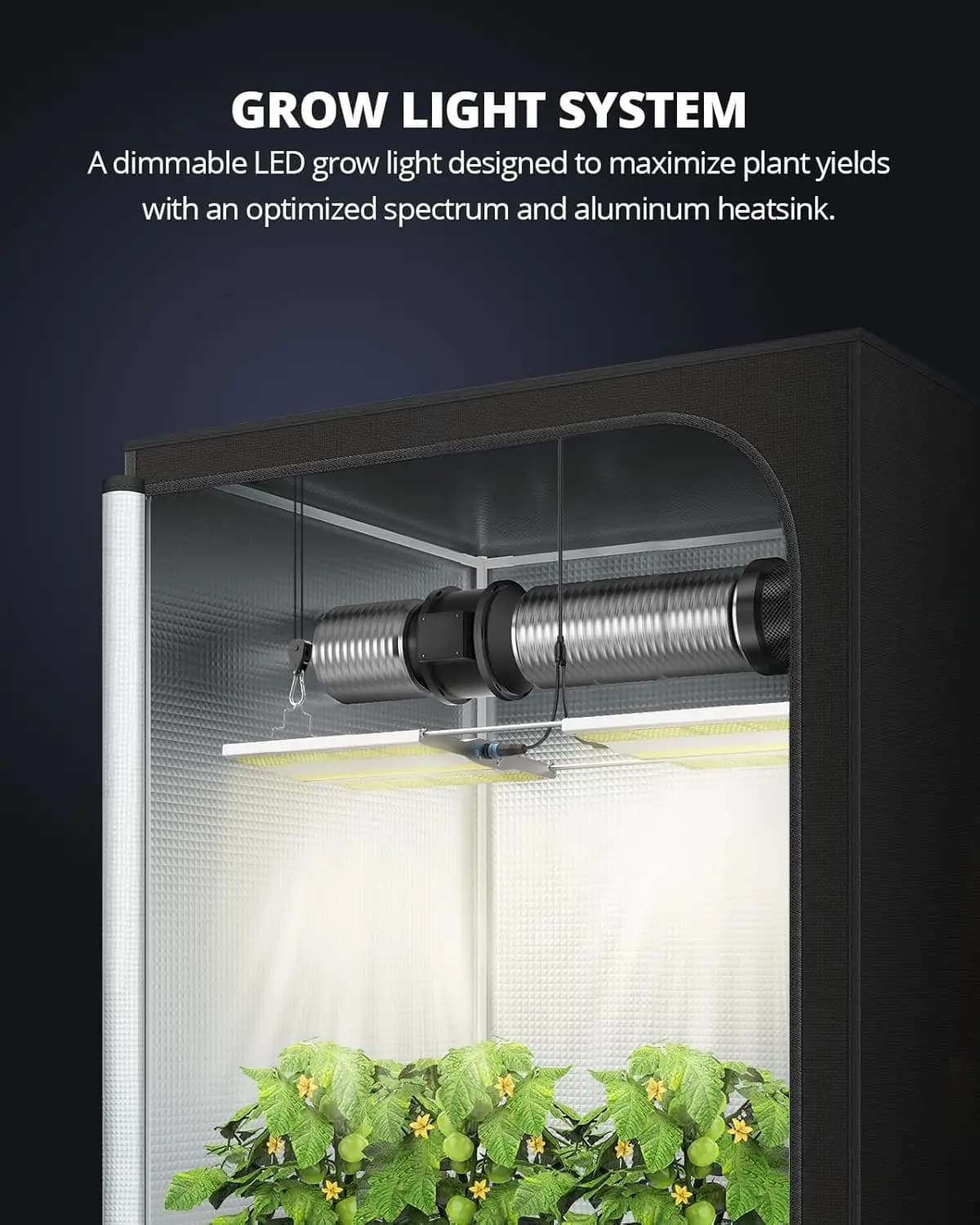 Lampada LED per Coltivazione Indoor 300W, Dimmerabile con Nuova Lente per Semi, Vegetali e Fiori in Tenda da Coltivazione 4x2 4x3 Daisy