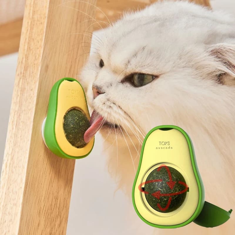 Erba gatta naturale Palla adesiva da parete girevole sana Pulizia dei denti di gatto Palla di erba gatta Giocattoli Forniture per graffiare erba gatta per gatti