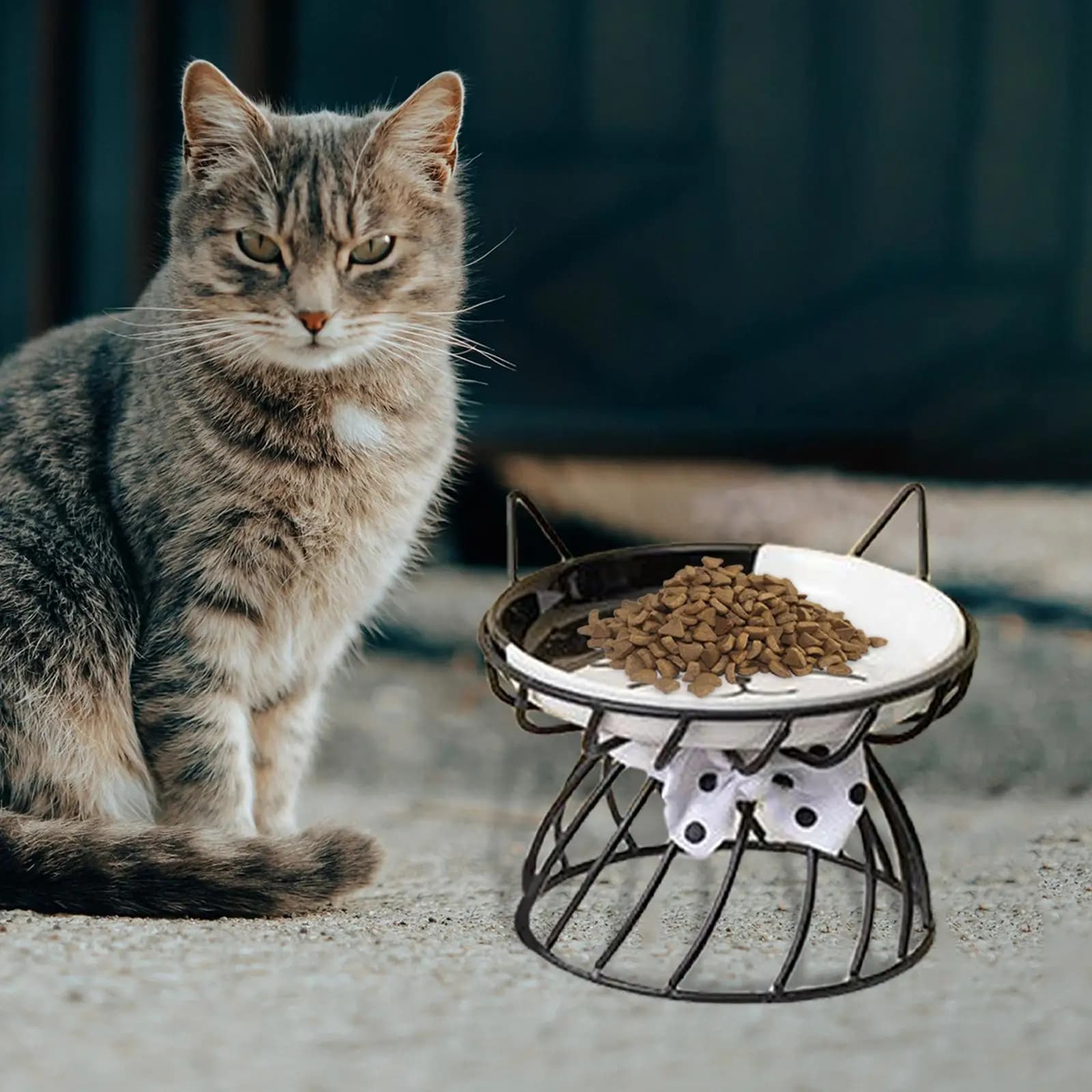 Nordic Cat Bowl Pet Food Water Feeder Drinker Pet Feeding Dish Cat Dog Bowl