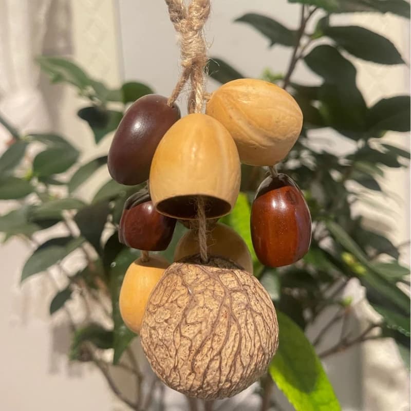 Nut Shell Hand Bell Meditation Healing Hanging Wind Chimes Yoga Sound Therapy Fruit Shell Bells Relax Decoration Diatonic Bell
