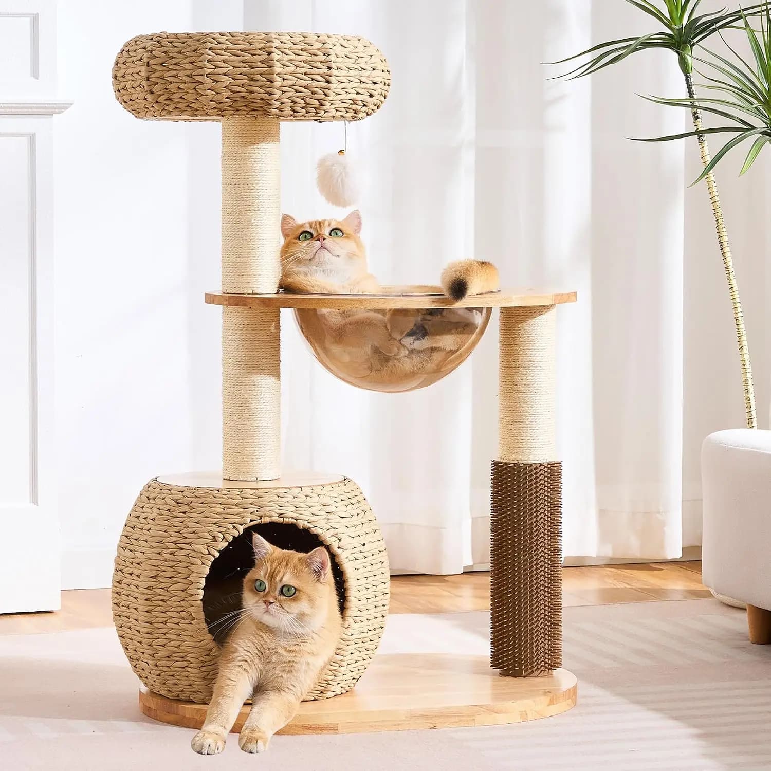 Modern Cat Tree for Indoor Small & Medium Cats, 38" H Solid Wood & Rattan Cat Tower with Handwoven Wicker Cat Bed & Cave, Capsul