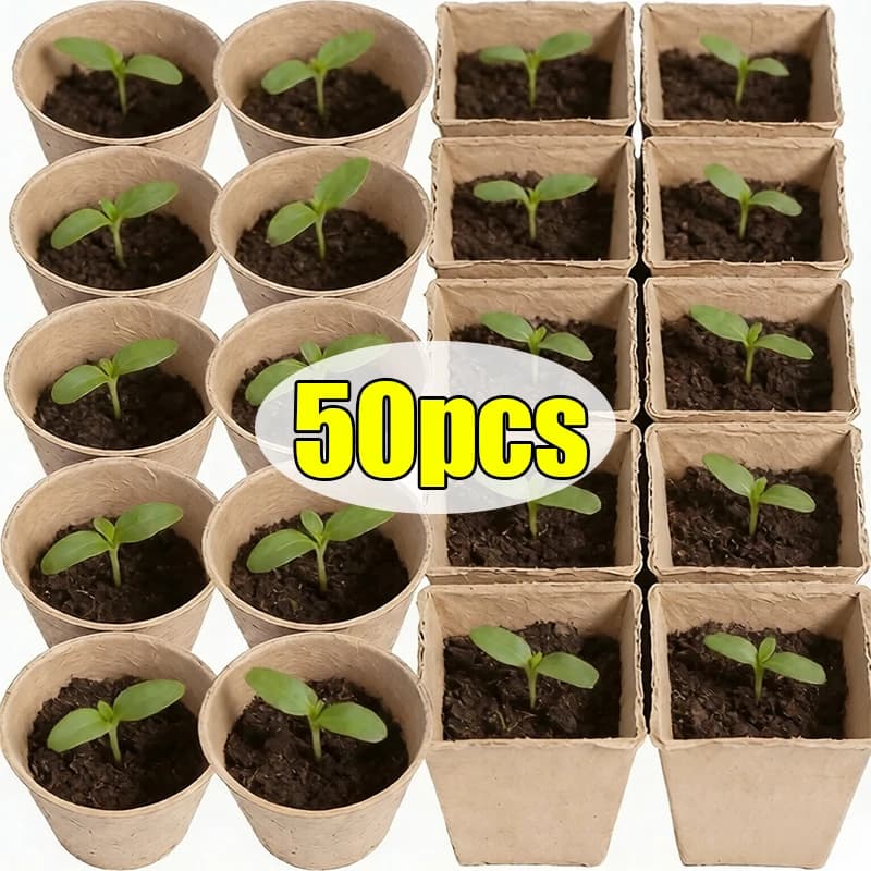 Round Biodegradable Vases for Plants and Flowers, Containers for Semenzai with Draining Holes, Trays for Seed Growing