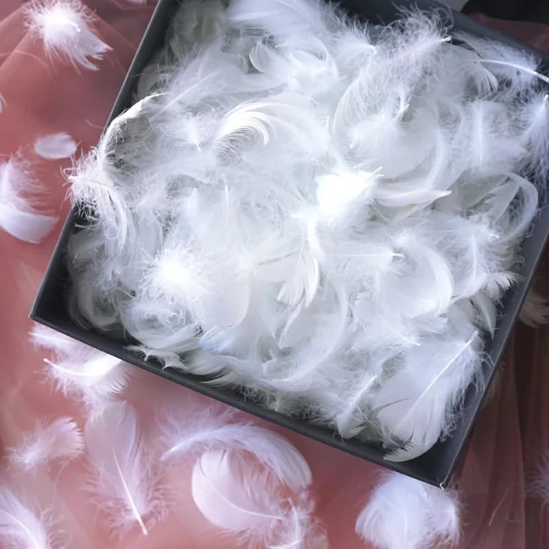 100pcs Natural Feathers White Real Geese Feathers Crafts Jewelry Dream Catcher Party Plume Decor DIY Gift Box Filling Material