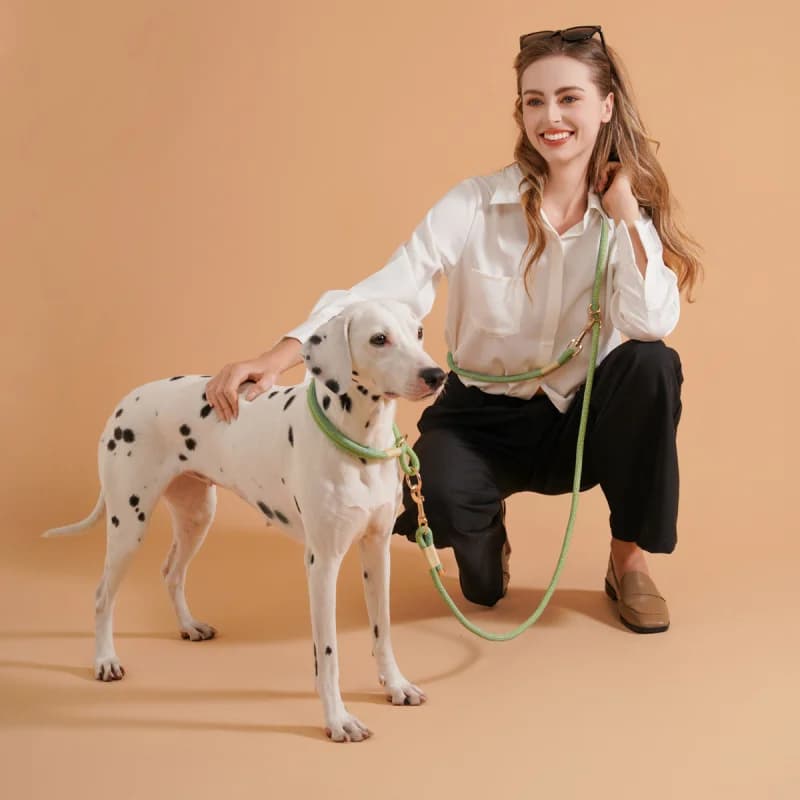 Collare regolabile per animali domestici, collare anti-esplosione, collare in nylon fatto a mano, guinzaglio per cani di taglia media e grande