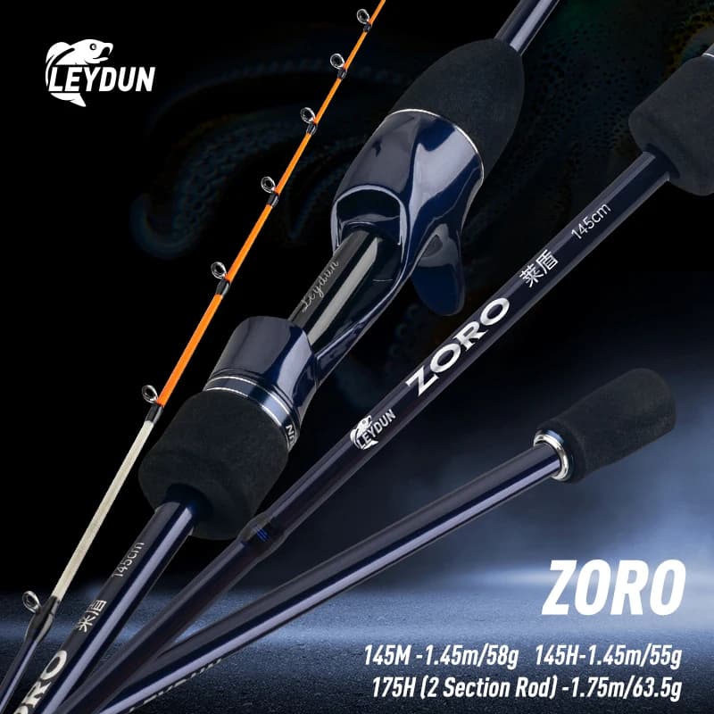 LEYDUN ZORO Canne da pesca leggere 145M/H 58g/55g 175H 63g Punta in Tianium Seppie leydun Casting Rod Calamari Barca webfooted