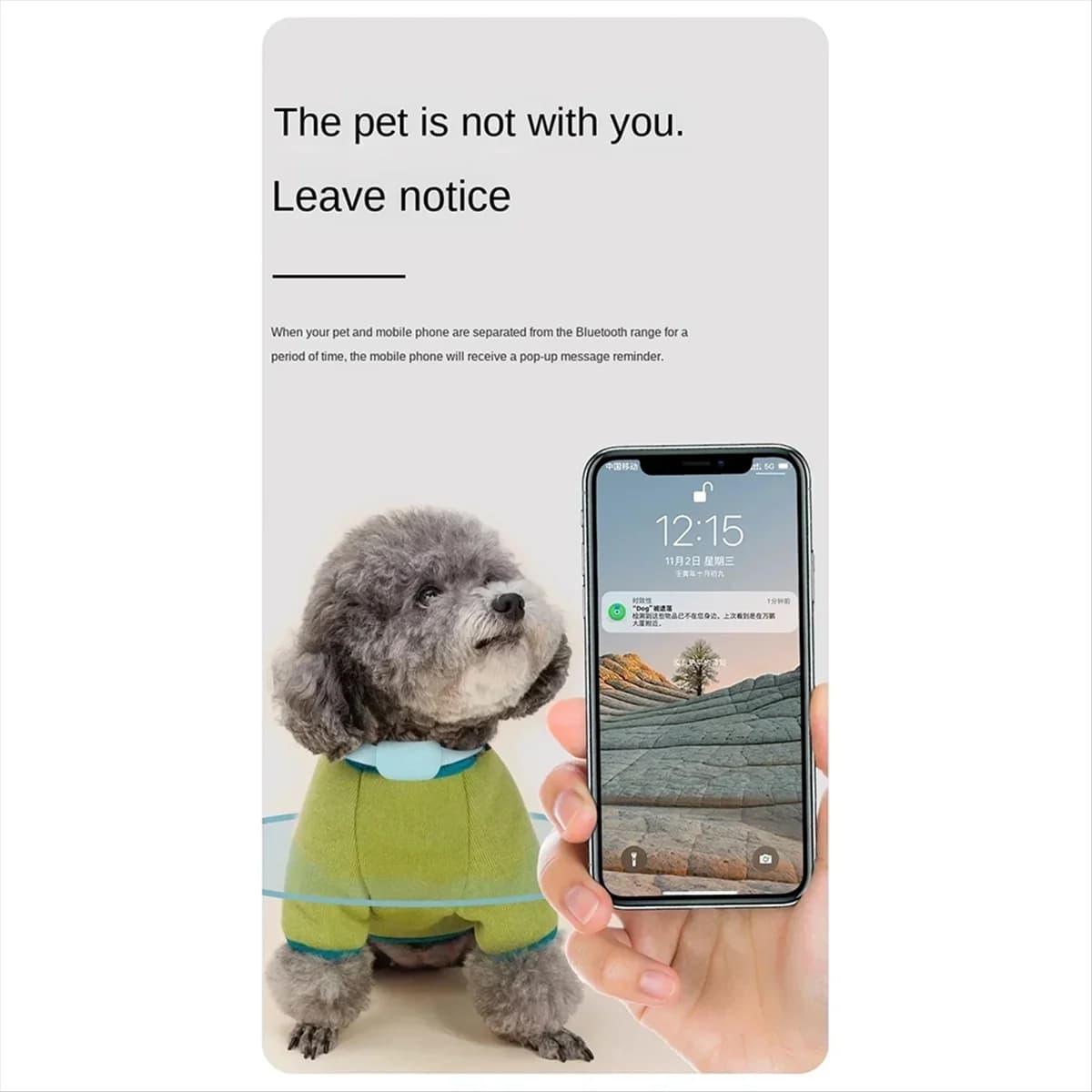 A59T Collare di posizionamento per animali domestici Gps per cani impermeabili Monitoraggio degli animali Avviso di movimento Anti smarrimento Tracker Gatti Localizzatore globale remoto C