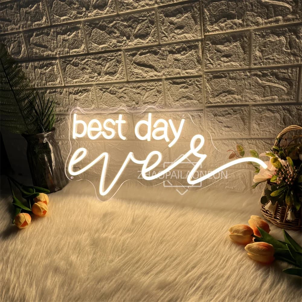 Il miglior giorno di sempre Insegna al neon a LED Party Home Room Decorazione da parete Insegna al neon Compleanno Camera da letto Decorazione per feste Regali Luci a LED
