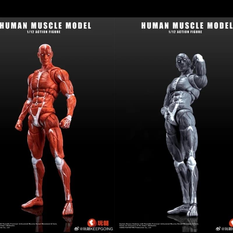 2025 Nuovo 1/12 Bilancia Modello di Muscolo Umano Corpo Ultra Articolato Action Figure Collezione Decorazione Ornamenti Giocattolo Regali Di Compleanno