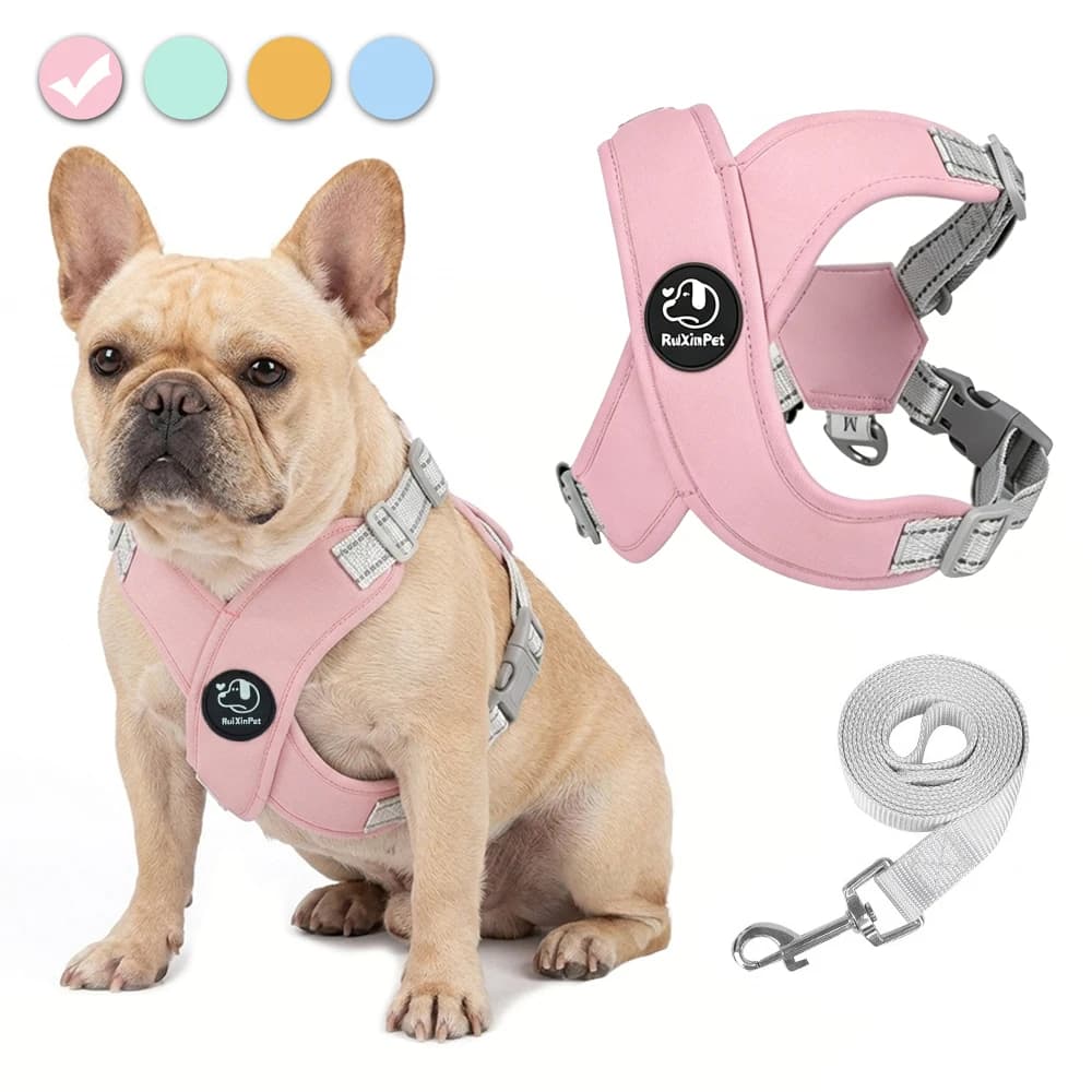 Dog Harness and Leash Set, Reflective Adjustable Pet Vest Harness with Metal D-Ring, Breathable Small Dog and Cat Walking Chest Harness Supplies