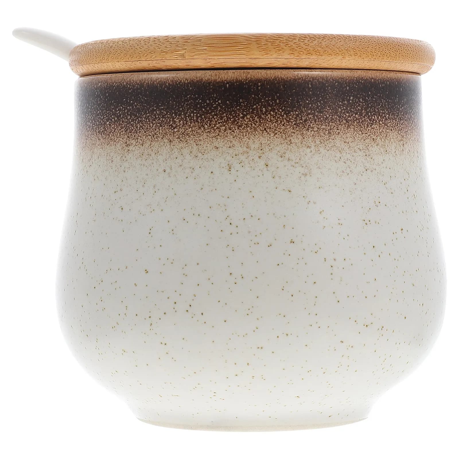 1 set di barattoli per spezie in ceramica, contenitori per la conservazione delle condimenti, porta condimenti da cucina multifunzionale per sale, pepe, zucchero, peperoncino in polvere