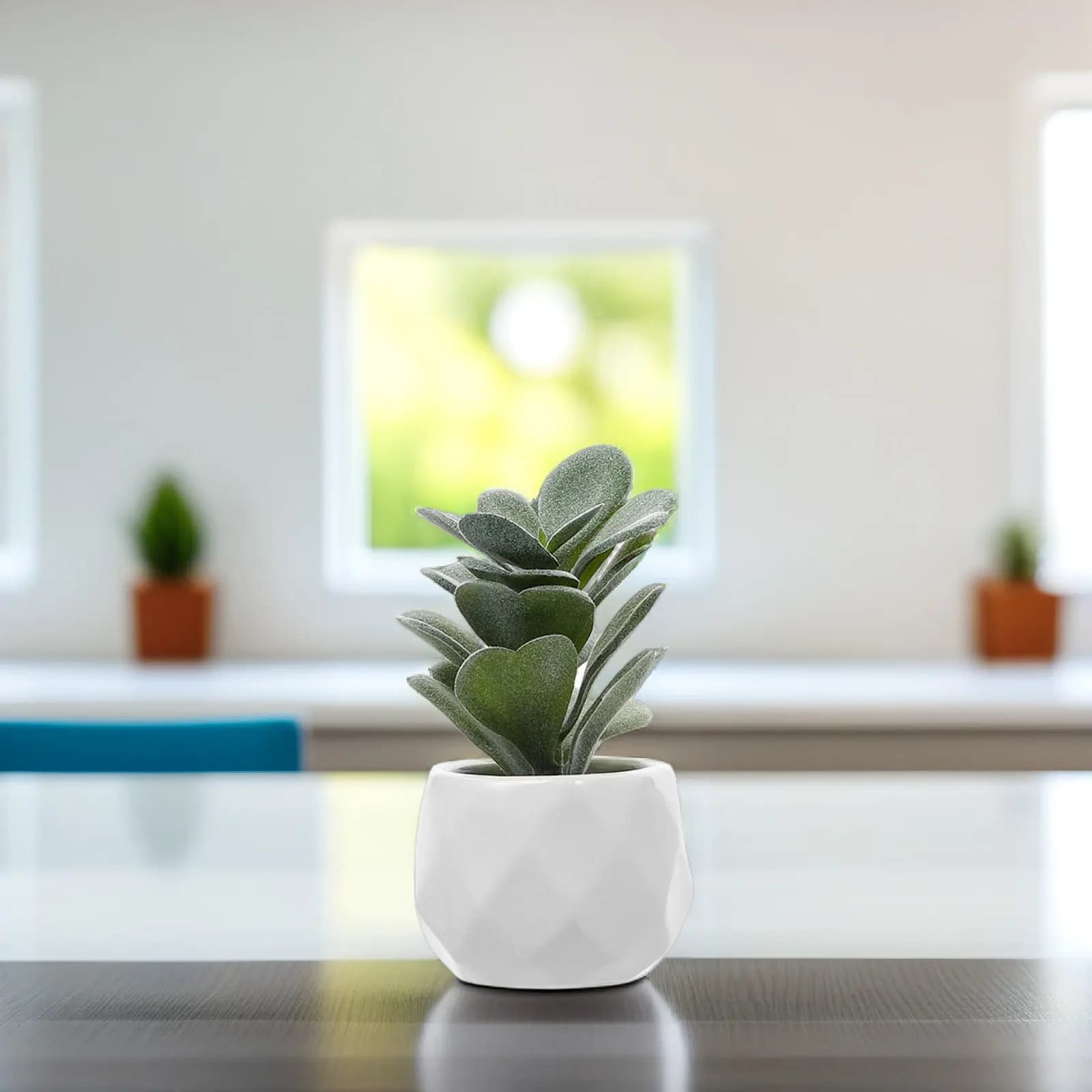 Set di 4 Piante Succulente Artificiali in Vaso di Ceramica Premium, Decorazione Realistica per Scrivania, Casa e Ufficio