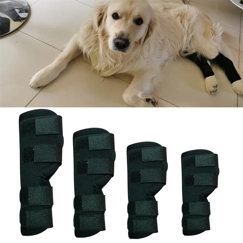 Ginocchiera sportiva per animali domestici Giunti di protezione per il recupero della chirurgia del cane Ginocchiera per animali domestici Stile resistente all'usura Comodo