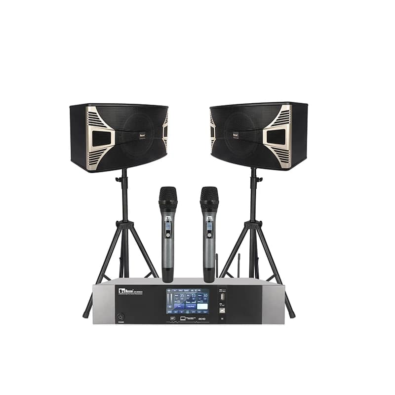 Set completo Sistema Karaoke Macchina Karaoke + Amplificatore di potenza + Altoparlante + Microfono wireless