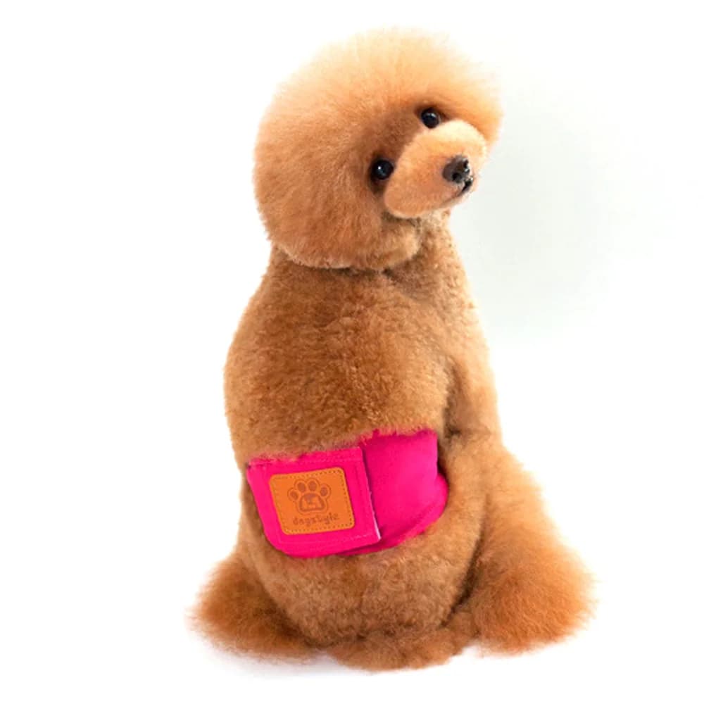 Pannolini igienici lavabili per cani maschi, fascia avvolgente per la pancia, mutandine fisiologiche per animali domestici, pantaloncini.