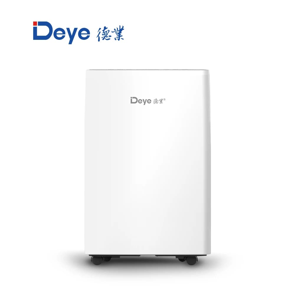 Deumidificatore Deye DYD-Y12A 12L, purificatore d'aria portatile, deumidificatore domestico per il bagno