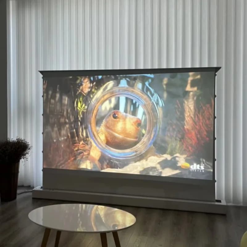 Schermo per Proiettore Fresnel Elettrico Personalizzato 133 Pollici, 16:9 ALR, da Pavimento, 8K 3D