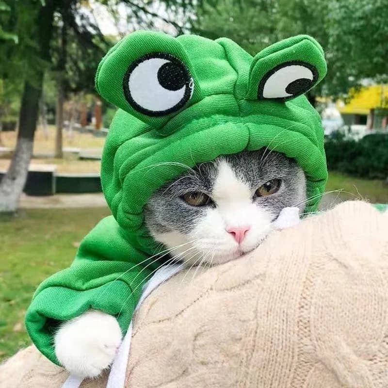 Simpatici animali domestici Felpe con cappuccio Gatti a forma di rana Cappotto di peluche Divertente costume cosplay Pet Cat Clothes Felpa con cappuccio per cani