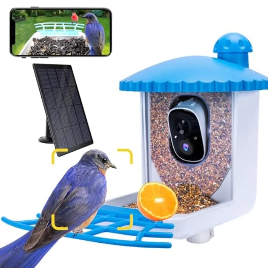 Mangiatoia per Uccelli con Telecamera, Acquisizione Video 2K HD, Batteria da 5000mAh con Pannello Solare, Avvisi Istantanei di Arrivo, Visualizzazione Live, Identificazione AI delle Specie
