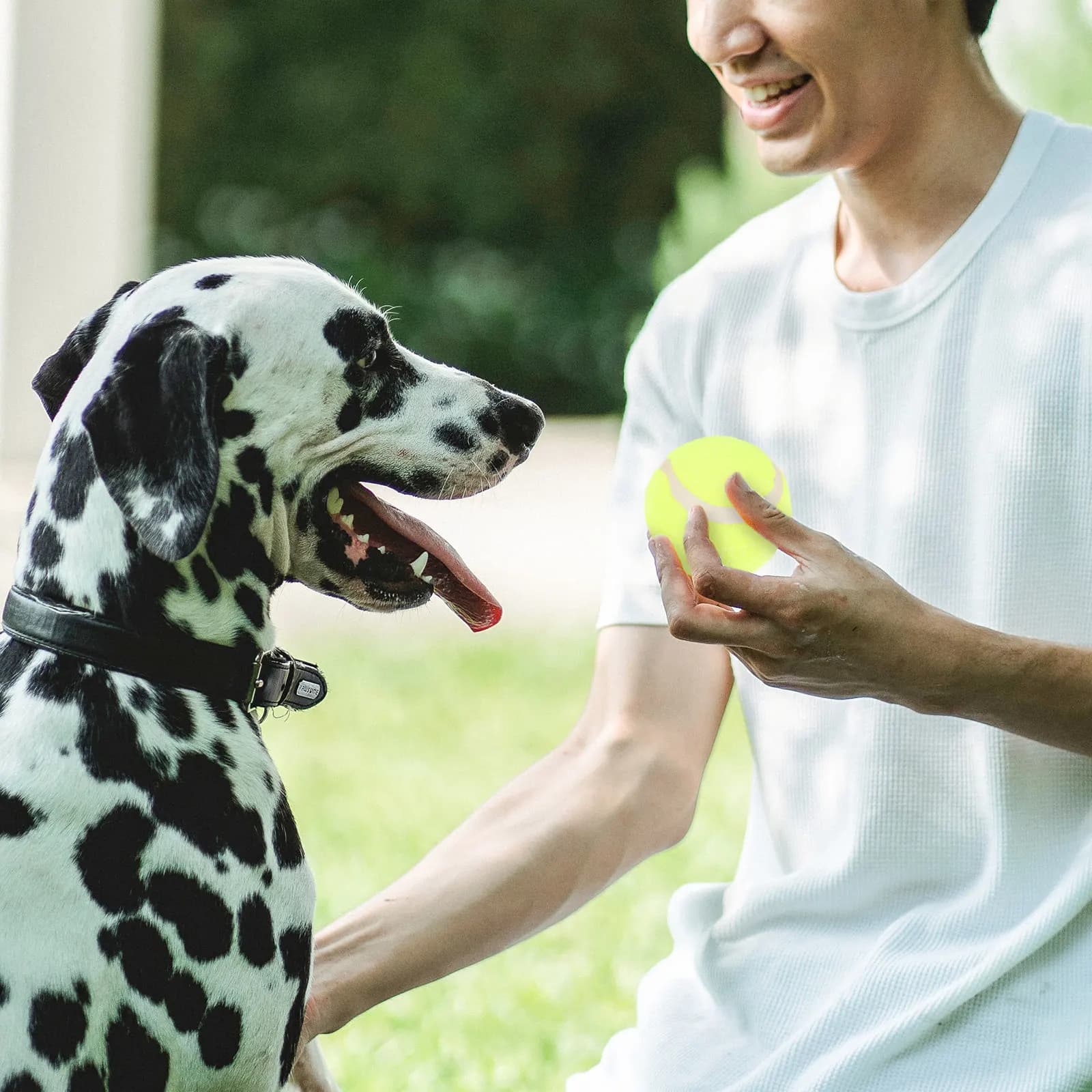4 Palline da Tennis per Addestramento Cani, Palline in Gomma per Esercizio e Gioco all'Aperto e al Chiuso, per Cuccioli e Cani di Piccola Taglia