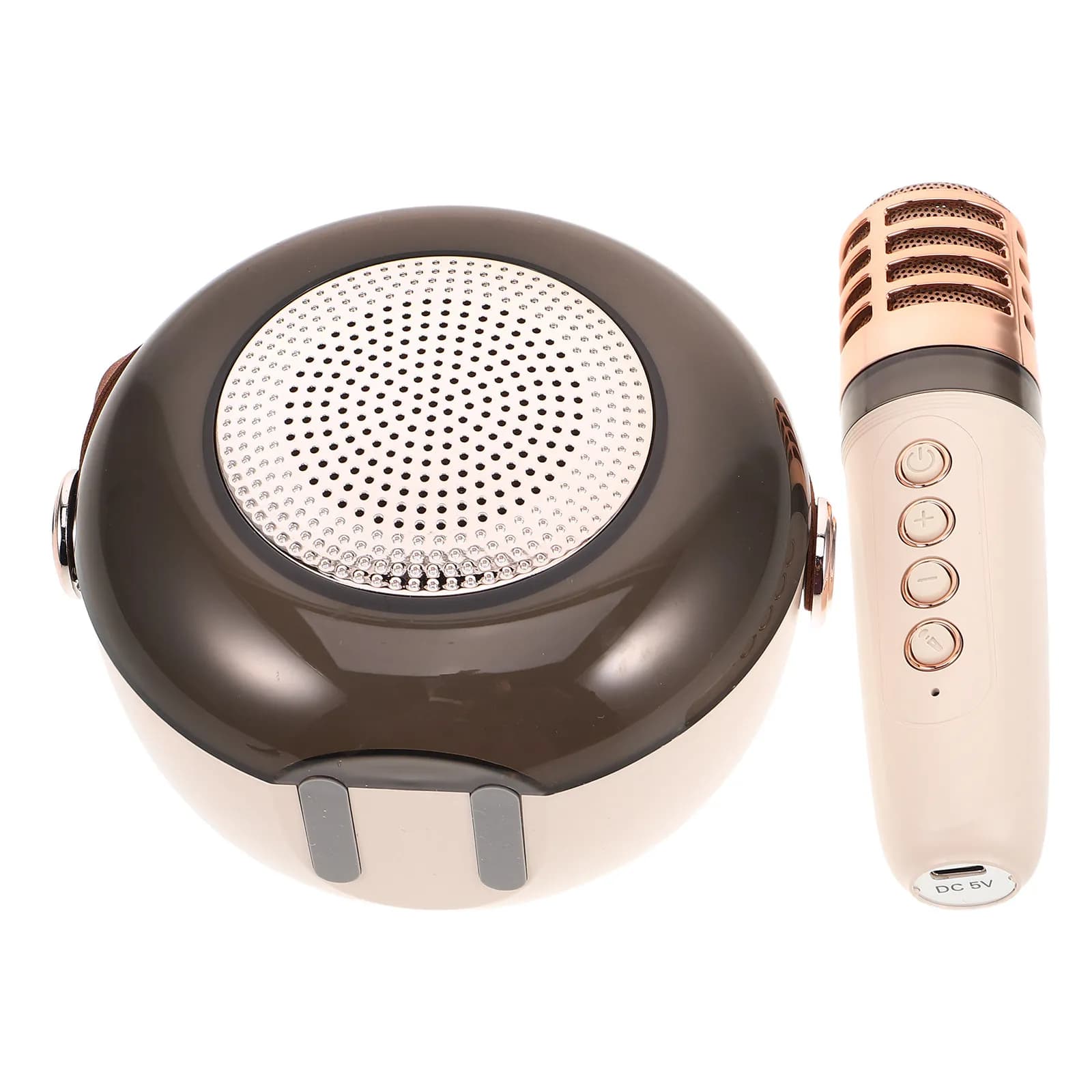 Sistema Karaoke Portatile per Esterni con Microfono Wireless e Altoparlante per Campeggio e Feste Familiari, Mini Altoparlante Karaoke per Adulti