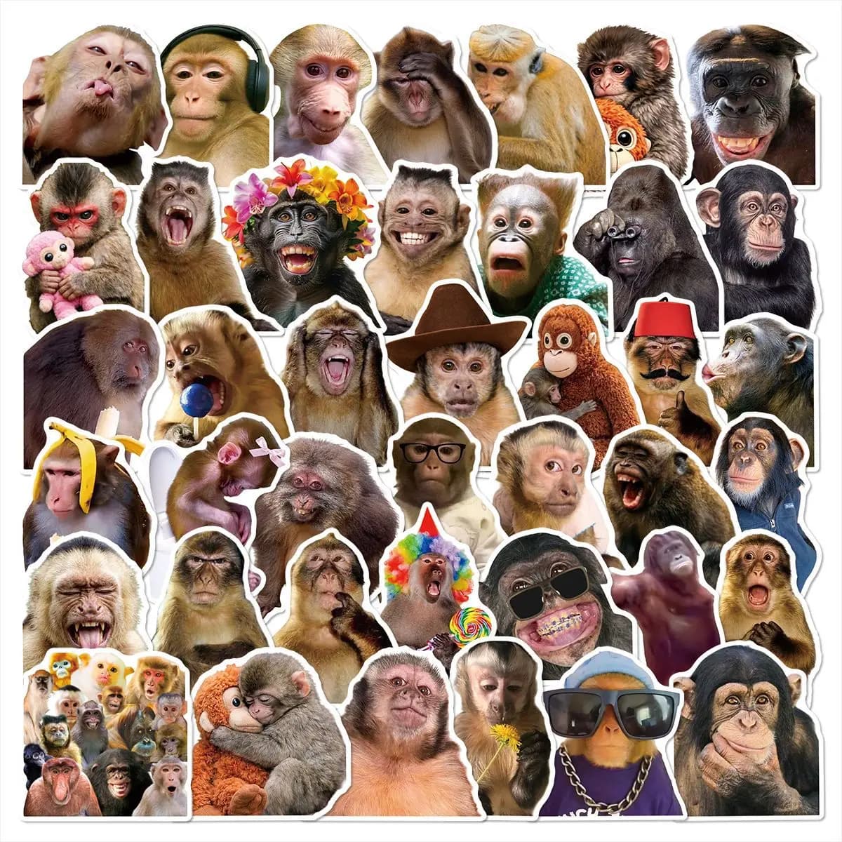 50 Pezzi Adesivi Divertenti con Scimmie e Orangutan, Impermeabili, per Cancelleria, Quaderni, Caschi, Moto, Valigie, Frigoriferi
