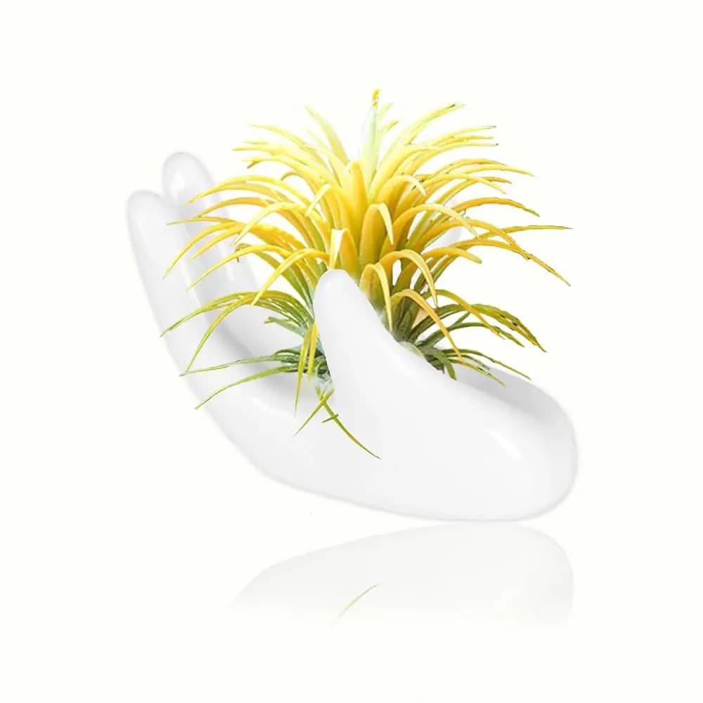 Portapiante a forma di mano - Mini supporto in ceramica per piante aeree - Vaso decorativo bianco per piante da interno vive - Unico per scrivania, tavolo