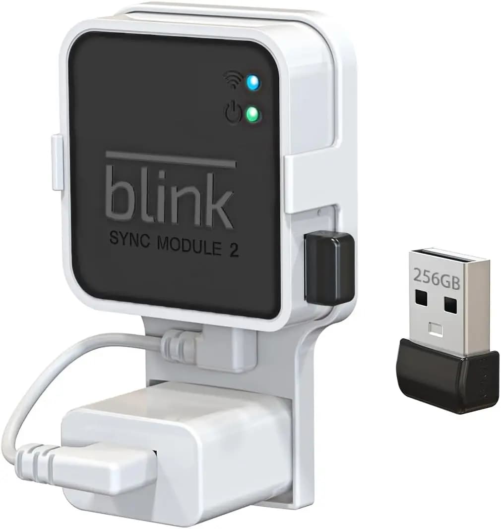 Chiavetta USB da 256 GB per sistema di sicurezza Blink, compatibile con il modulo Sync 2, include supporto da parete e cavo corto per