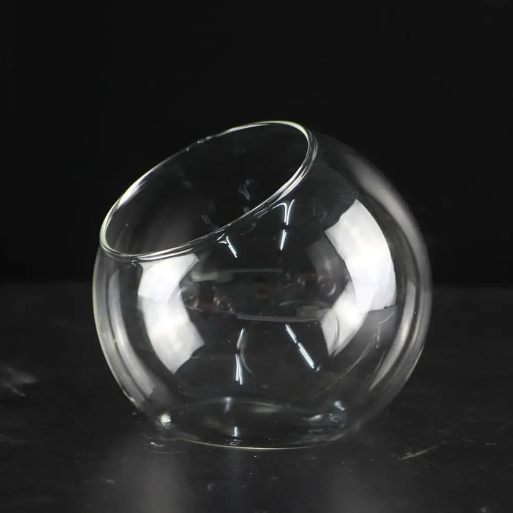Vaso Sferico in Vetro Trasparente Obliquo, Contenitore in Vetro Borosilicato per Piante Succulente, Terrario Trasparente 8/10/12/16cm