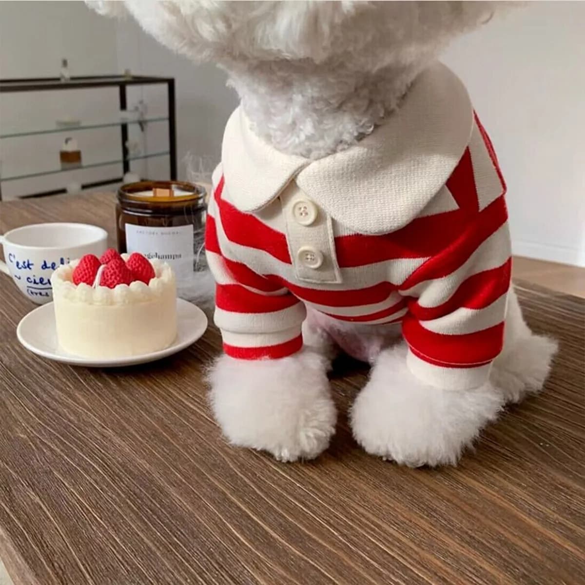 Striped Preppy Lapel Pet Polo Shirt Soft Breathable Puppy T-Shirt Apparel for Small Dogs Yorkie Bichon Poodle Pomeranian & Cats