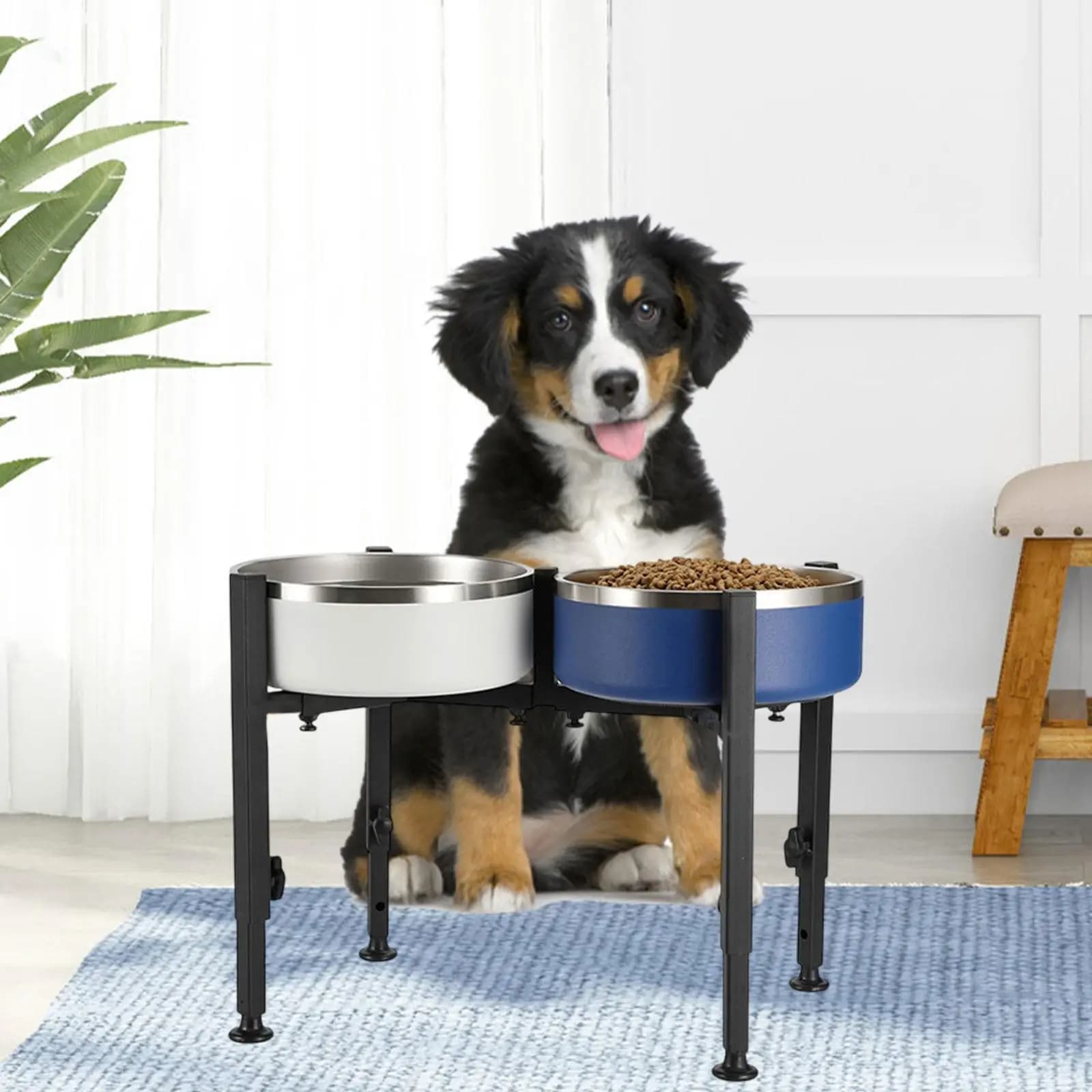 Doppi ciotole Supporto rialzato per cani Altezza regolabile Ferro Alimentatore per animali domestici Stazione rialzata per piatti d'acqua per alimenti per cuccioli