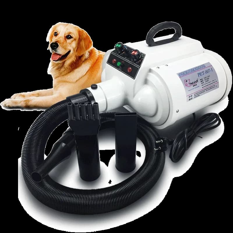 Portable Pet Drying Box, Automatic Cat Hair Drying, Dog Toilet, Professional Blower for Pet Store, Dog Dryers, Dog Blower