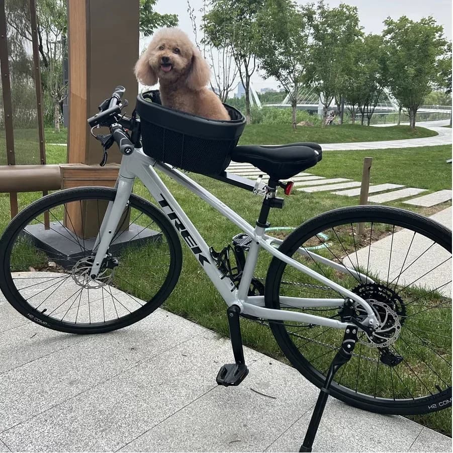 Cestino per bicicletta per animali domestici Bici da strada di montagna con borsa per cani e gatti Cestino per bici Sella incrociata Prodotti per animali domestici Forniture per cani