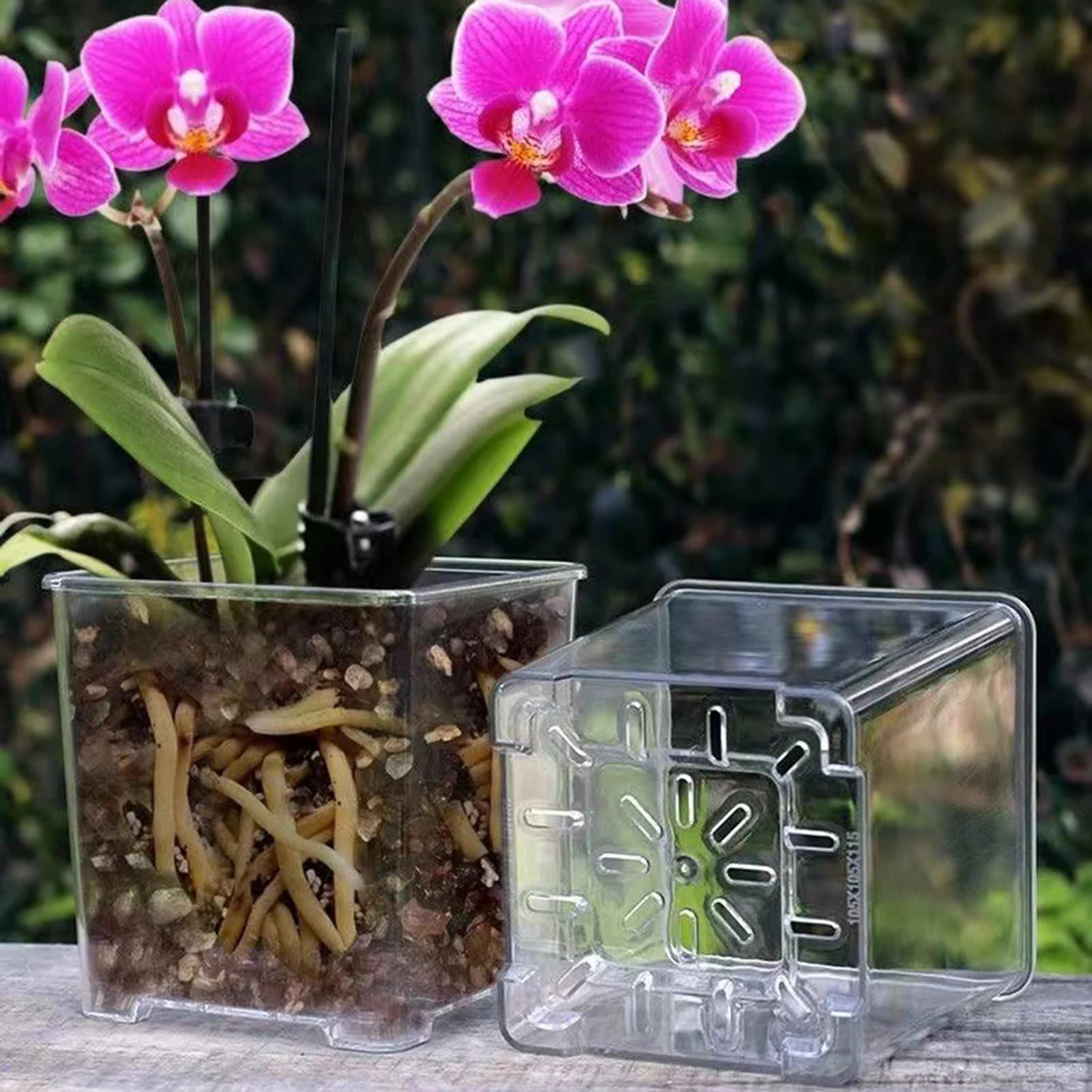 Vaso quadrato trasparente in acrilico per orchidee con fori di drenaggio, fioriera in plastica per piante di Phalaenopsis, per uso interno ed esterno.