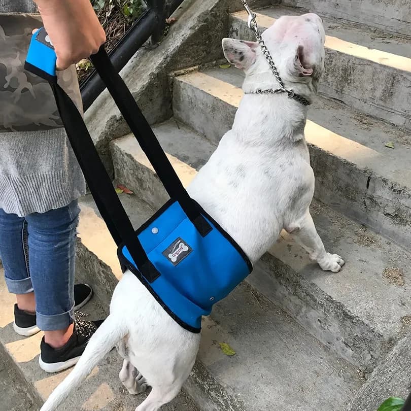 Dog Lift Harness Carrying Lift Support Harness for Dog Hind Leg Support Make Lifting Rear Legs for Older Dog Injuries Recover