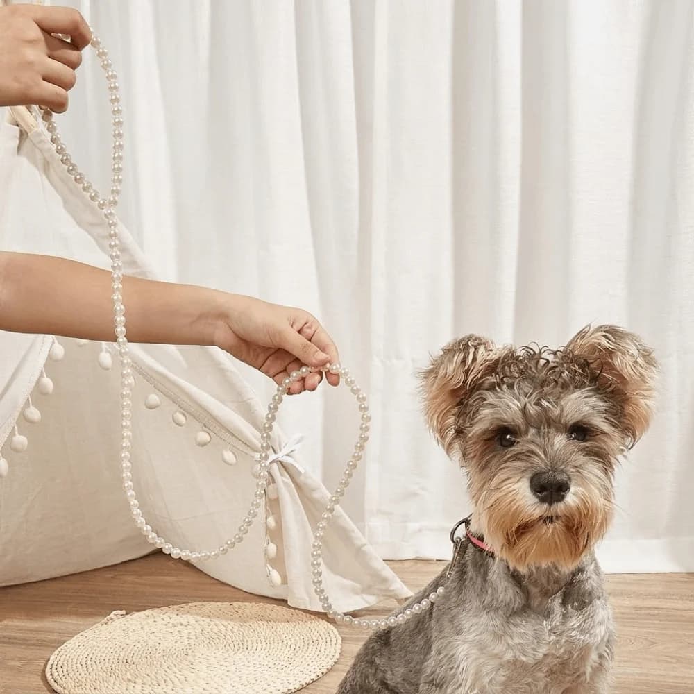 Guinzaglio per Cani Resistente ai Morsi con Perline, Anti-Fuga, Impermeabile, Decorativo con Perle Artificiali, Corda di Trazione per Animali Domestici per Jogging