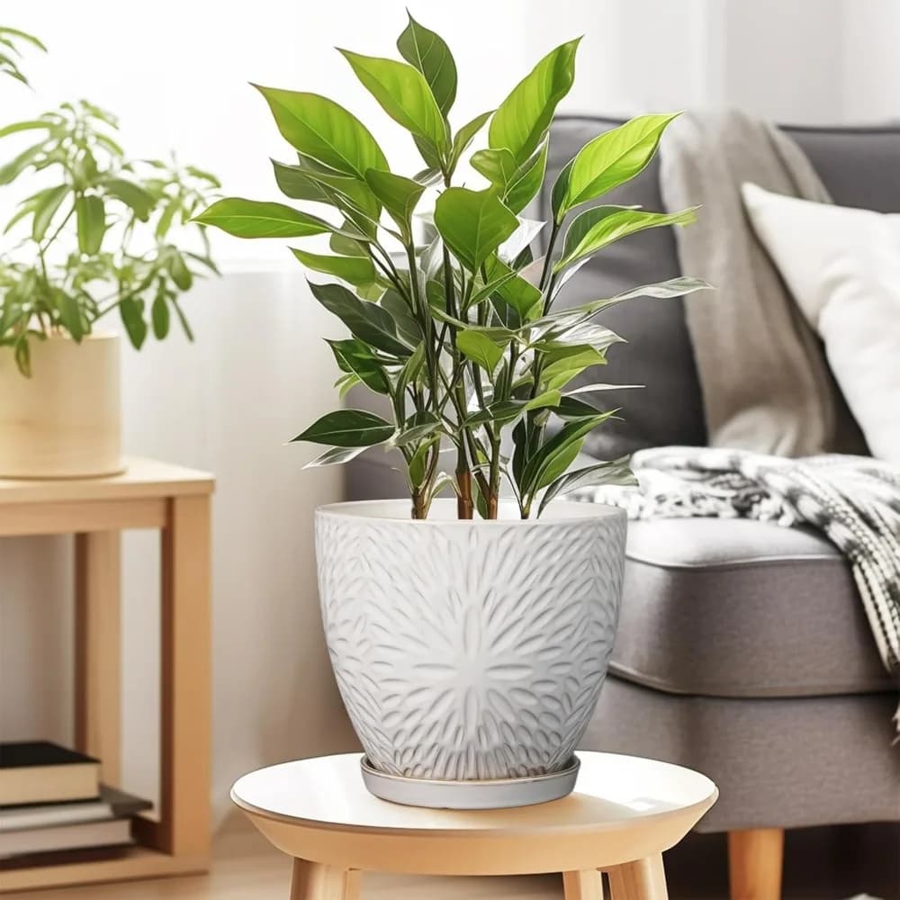 8 inch ceramic plant vase with drainage hole and saucer, modern round flower for indoor and outdoor plants, large white flower pot